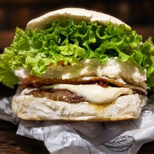 imagem do produto X-Salada