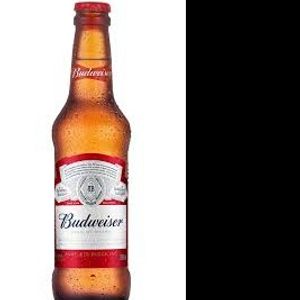 imagem do produto BUDWEISER LN 330ML