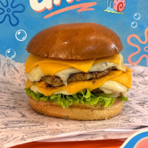 imagem do produto GARY