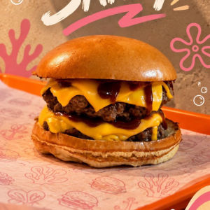imagem do produto SANDY