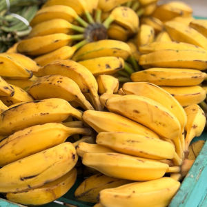 imagem do produto banana coruda
