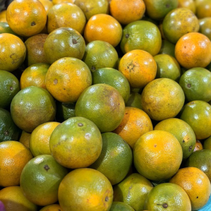 imagem do produto Laranja