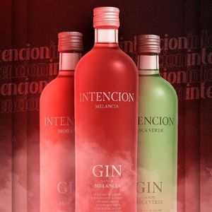 imagem do produto Copão gin intencion
