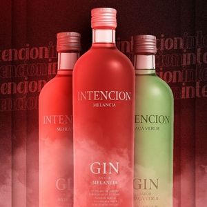 imagem do produto Kit Gin ou vodka intencion