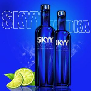 imagem do produto Vodka skyy
