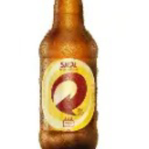 imagem do produto LITRINHO SKOL 