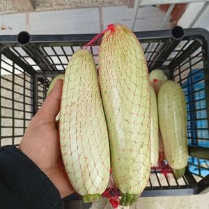imagem do produto Abobrinha 800g ( média embalagem)