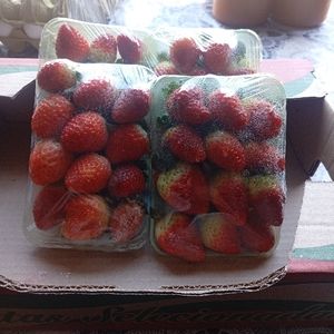imagem do produto Morango 