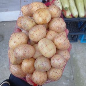 imagem do produto Batatinha