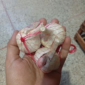 imagem do produto Alho