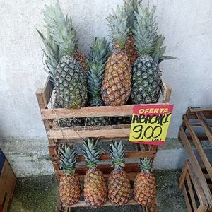 imagem do produto Abacaxi 