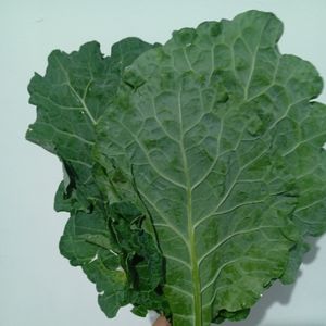 imagem do produto Couve verde