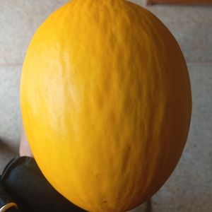 imagem do produto Melão inteiro