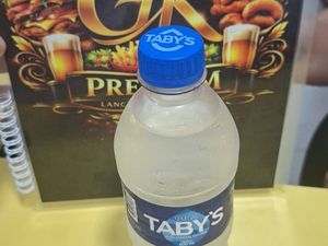 imagem do produto Agua Sem Gás 500 ml