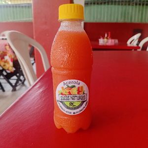 imagem do produto SUCO ACEROLA 300 ML