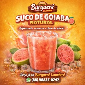 imagem do produto Suco de Goiaba 