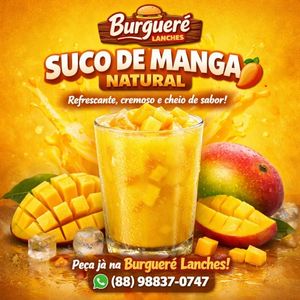 imagem do produto Suco de Manga 