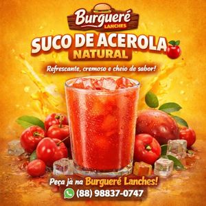 imagem do produto Suco de Acerola 