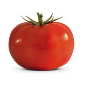 imagem do produto Tomate