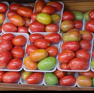imagem do produto Tomate bandeja
