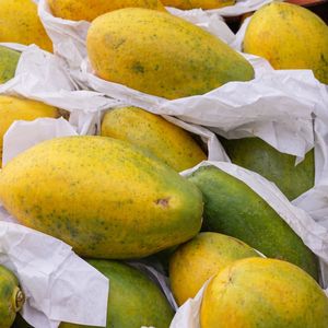 imagem do produto Mamão papaya