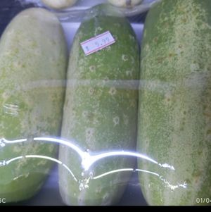 imagem do produto Pepino 