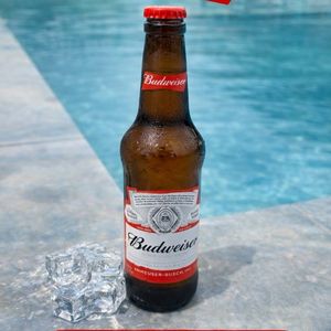 imagem do produto Budweiser long neck