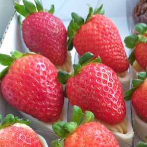 imagem do produto 25 Copinhos de Morango