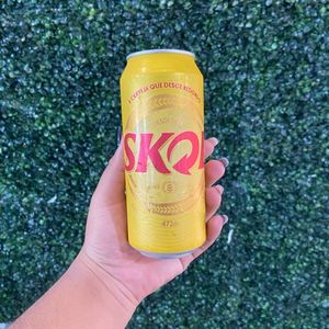 imagem do produto Skol