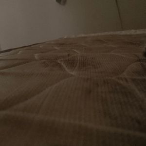 imagem do produto Paleta