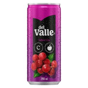 imagem do produto Delicia Valle sabor Uva 290 ml