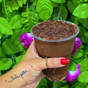 imagem do produto Milk-shake Premium 500 ml