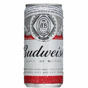 imagem do produto budweiser 269 unidade