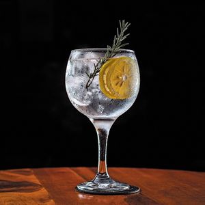 imagem do produto Gin Tônica Clássico