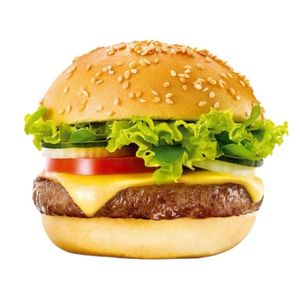 imagem do produto  x-salada