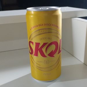 imagem do produto Skol 