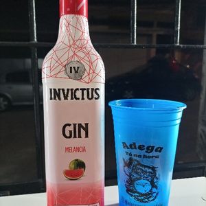 imagem do produto Gin Invictus 