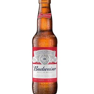 imagem do produto Budweiser