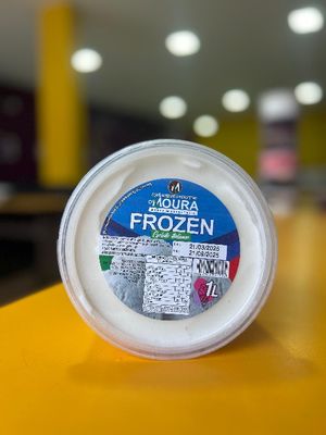 imagem do produto POTE FROZEN 1L