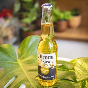imagem do produto Corona