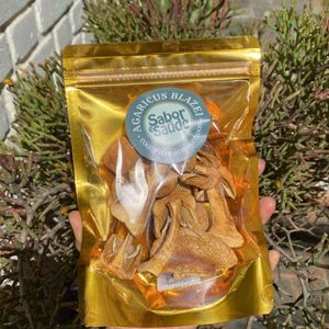 imagem do produto Cogumelo do Sol - Agarius Blazei