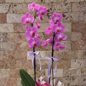 imagem do produto Flor orquídea (colocamos a cor combinando com a cesta) 