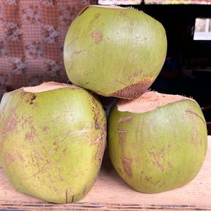 imagem do produto Coco verde