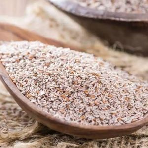 imagem do produto Psyllium 