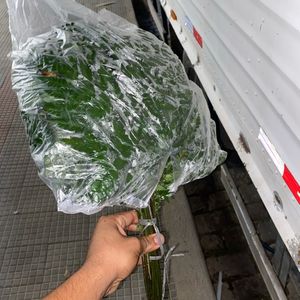 imagem do produto Mc avencao 