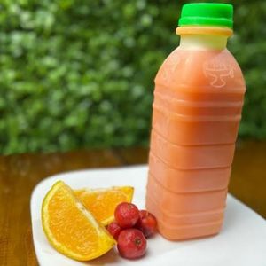 imagem do produto SUCO DE ACEROLA COM LARANJA 300ml