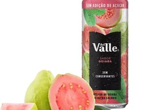 imagem do produto Suco Del Vale Maracujá - Lata 290ml