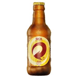 imagem do produto Skol litrinho