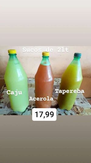 imagem do produto DUCO DE TAPEREBA 2L
