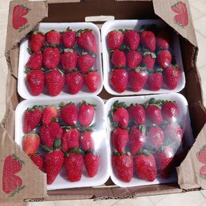imagem do produto Morango Premium (caixa)